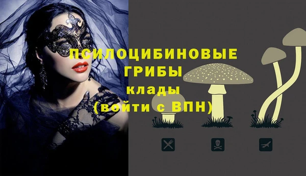 ешки Аркадак