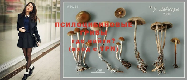 не бодяженный Арсеньев