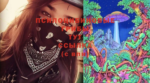 не бодяженный Арсеньев