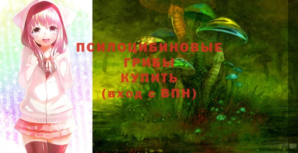 ешки Аркадак