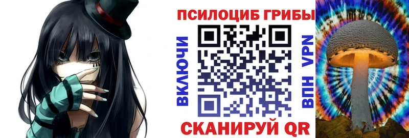 закладка  Углегорск  Псилоцибиновые грибы Psilocybine cubensis 